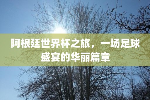 阿根廷世界杯之旅，一场足球盛宴的华丽篇章