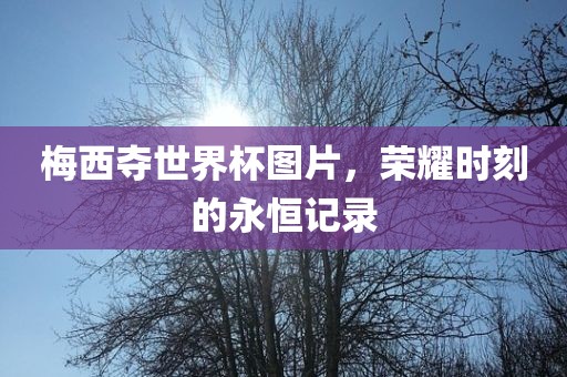 梅西夺世界杯图片，荣耀时刻的永恒记录