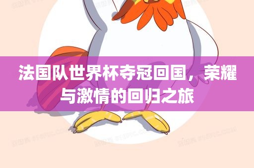 法国队世界杯夺冠回国，荣耀与激情的回归之旅