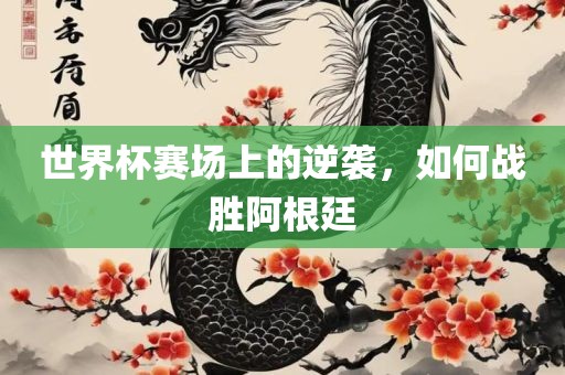 世界杯赛场上的逆袭，如何战胜阿根廷漯河市盈旭机械设备有限公司