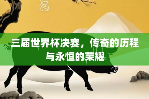 三届世界杯决赛，传奇的历程与永恒的荣耀