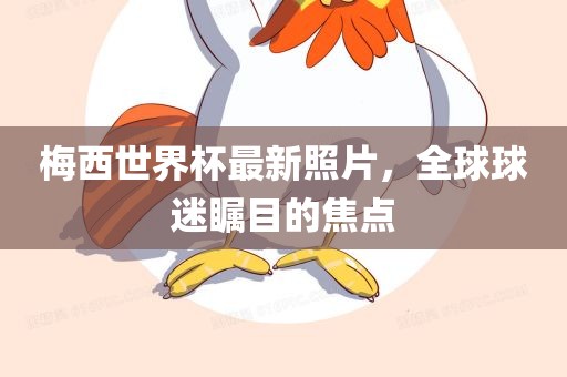 梅西世界杯最新照片，全球球迷瞩目的焦点漯河市盈旭机械设备有限公司