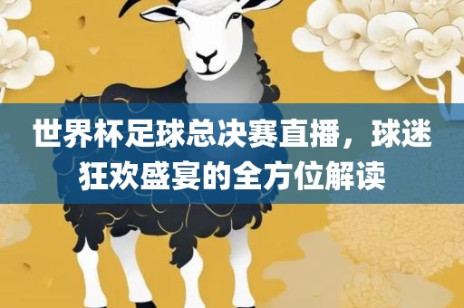 世界杯足球总决赛直播，球迷狂欢盛宴的全方位解读