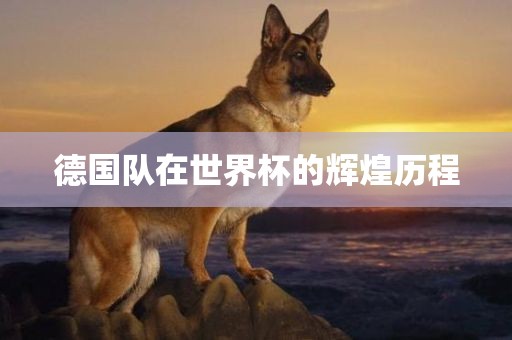 德国队在世界杯的辉煌历程