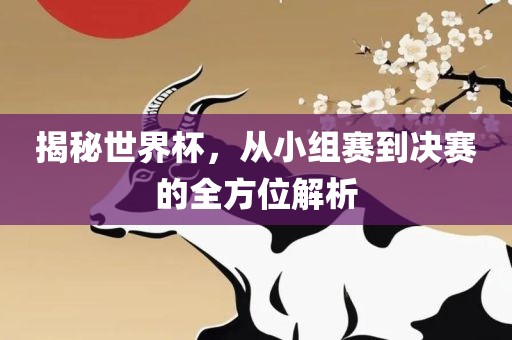 揭秘世界杯，从小组赛到决赛的全方位解析