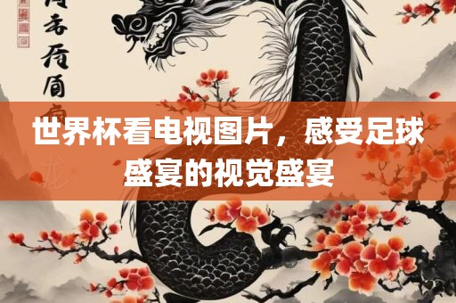 世界杯看电视图片，感受足球盛宴的视觉盛宴漯河市盈旭机械设备有限公司