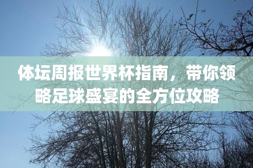 世界杯指南