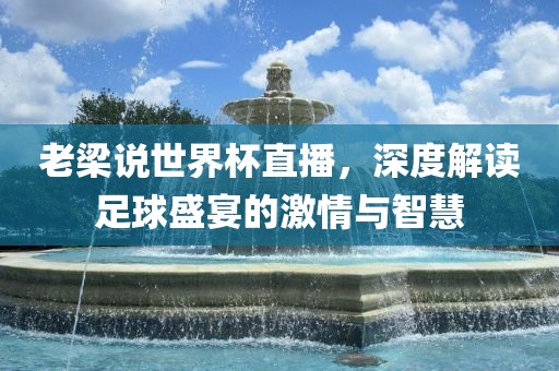 老梁说世界杯直播，深度解读足球盛宴的激情与智慧