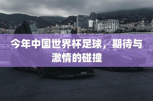 今年中国世界杯足球，期待与激情的碰撞