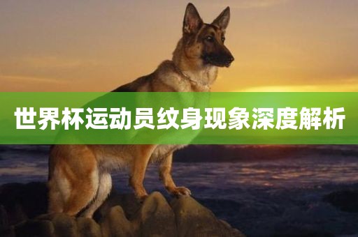 世界杯运动员纹身现象深度解析