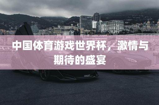 中国体育游戏世界杯，激情与期待的盛宴