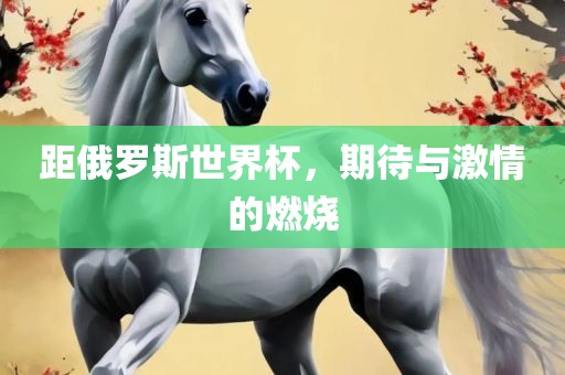 距俄罗斯世界杯，期待与激情的燃烧