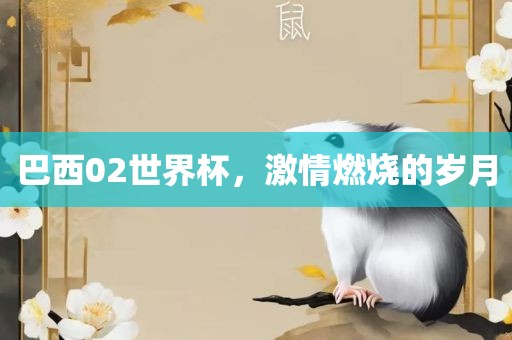 巴西02世界杯，激情燃烧的岁月