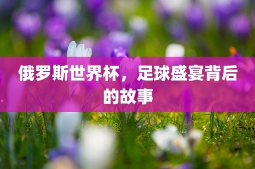 俄罗斯世界杯，足球盛宴背后的故事