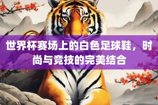 世界杯赛场上的白色足球鞋，时尚与竞技的完美结合