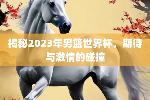 揭秘2023年男篮世界杯，期待与激情的碰撞
