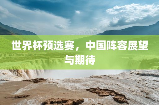 世界杯预选赛，中国阵容展望与期待