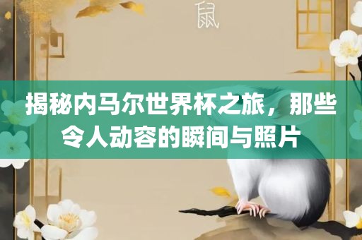 揭秘内马尔世界杯之旅，那些令人动容的瞬间与照片