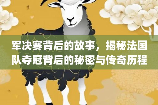 军决赛背后的故事，揭秘法国队夺冠背后的秘密与传奇历程