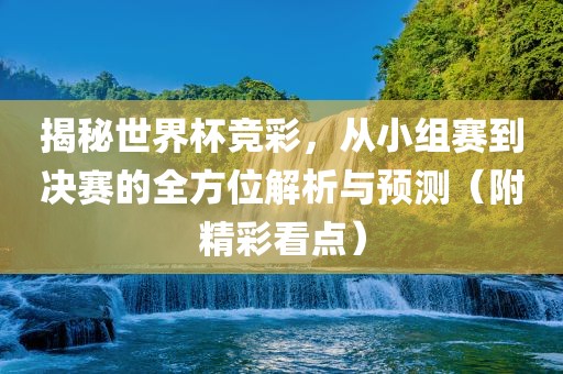 揭秘世界杯竞彩，从小组赛到决赛的全方位解析与预测（附精彩看点）