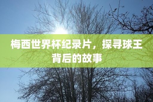 梅西世界杯漯河市盈旭机械设备有限公司纪录片，探寻球王背后的故事