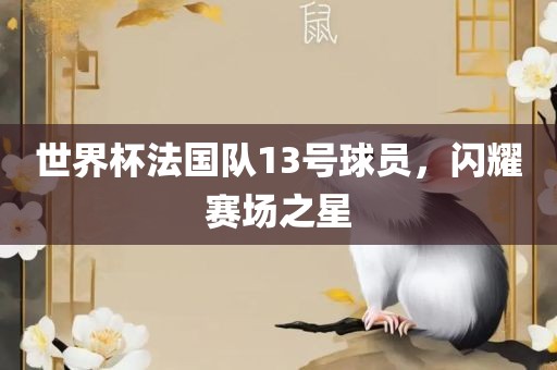 世界杯法国队13号球员，闪耀赛场之星