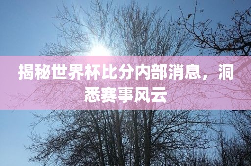 揭秘世界杯比分内部消息，洞悉赛事风云
