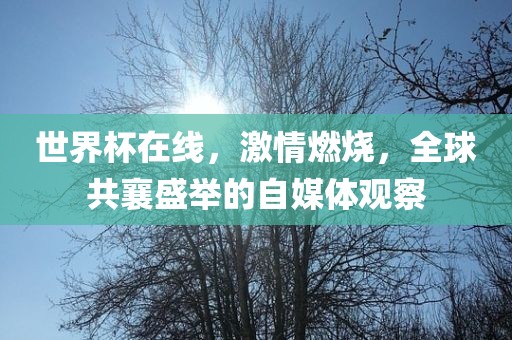 世界杯在线，激情燃烧，全球共襄盛举的自媒体观察