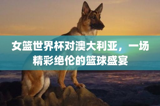 女篮世界杯对澳大利亚，一场精彩绝伦的篮球盛宴