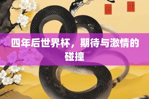 四年后世界杯，期待与激情的碰撞