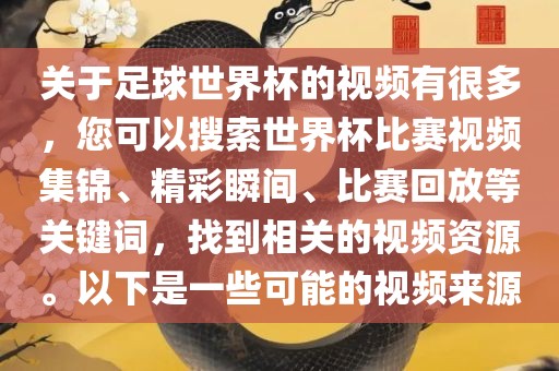 足球世界杯视频