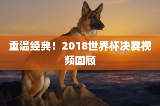 重温经典！2018世界杯决赛视频回顾