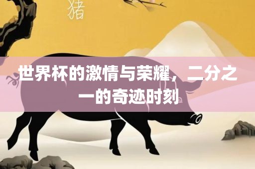 世界杯的激情与荣耀，二分之一的奇迹时刻