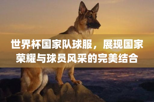 世界杯国家队球服，展现国家荣耀与球员风采的完美结合