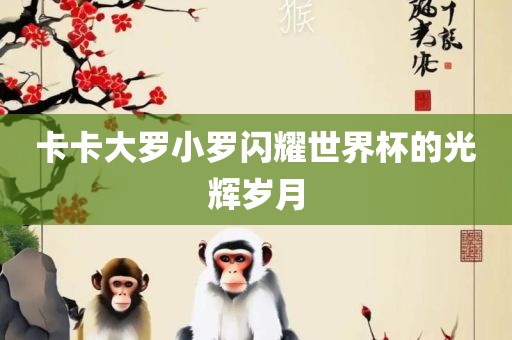 卡卡大罗小罗闪耀世界杯的光辉岁月