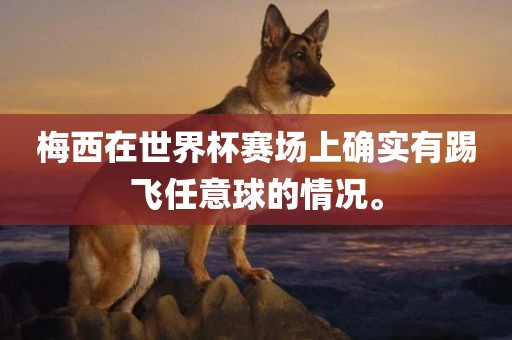 梅西在世界杯赛场上确实有踢飞任意球的情况。
