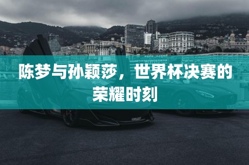 陈梦与孙颖莎，世界杯决赛的荣耀时刻