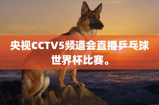 央视CCTV5频道会直播乒乓球世界杯比赛。漯河市盈旭机械设备有限公司