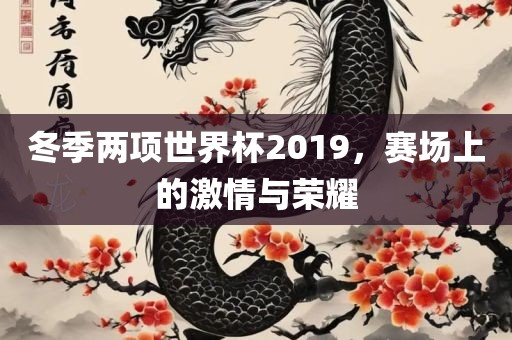 冬季两项世界杯2019，赛场上的激情与荣耀