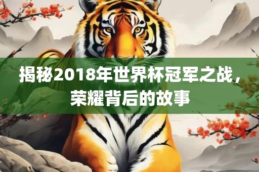揭秘2018年世界杯冠军之战，荣耀背后的故事