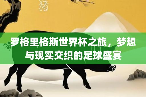 罗格里格斯世界杯之旅，梦想与现实交织的足球盛宴