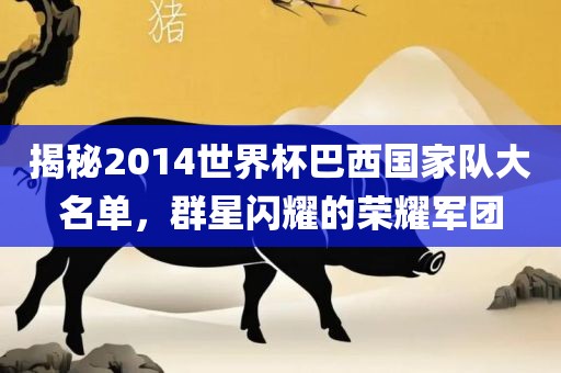 揭秘2014世界杯巴西国家队大名单，群星闪耀的荣耀军团