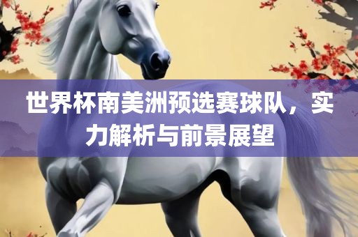 世界杯南美洲预选赛球队，实力解析与前景展望