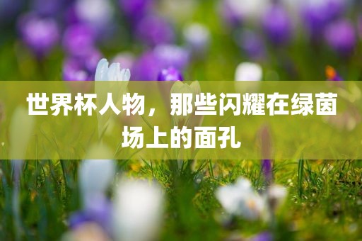 世界杯人物，那些闪耀在绿茵场上的面孔