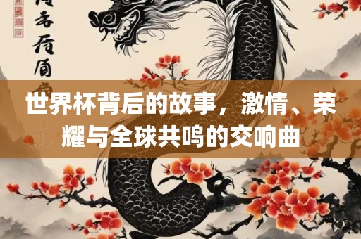 世界杯背后的故事，激情、荣耀与全球共鸣的交响曲