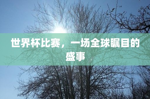 世界杯比赛，一场全球瞩目的盛事