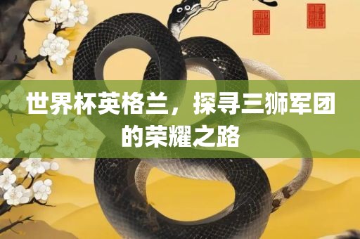 世界杯英格兰，探寻三狮军团的荣耀之路