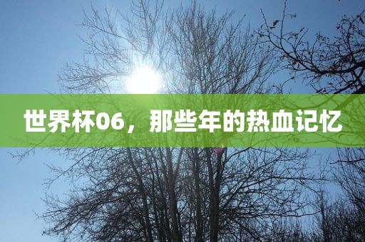 世界杯06，那些年的热血记忆