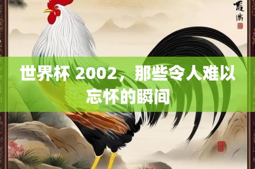 世界杯 2002，那些令人难以忘怀的瞬间