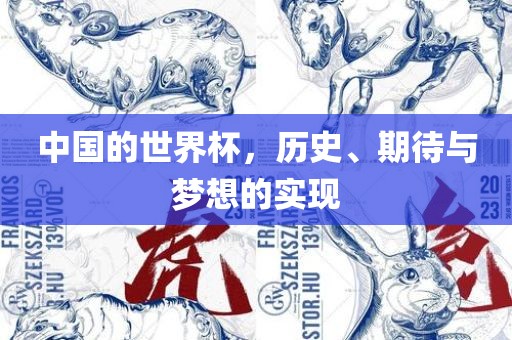 中国的世界杯，历史、期待与梦想的实现